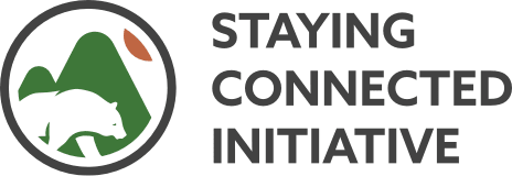 Home - Staying Connected Initiative